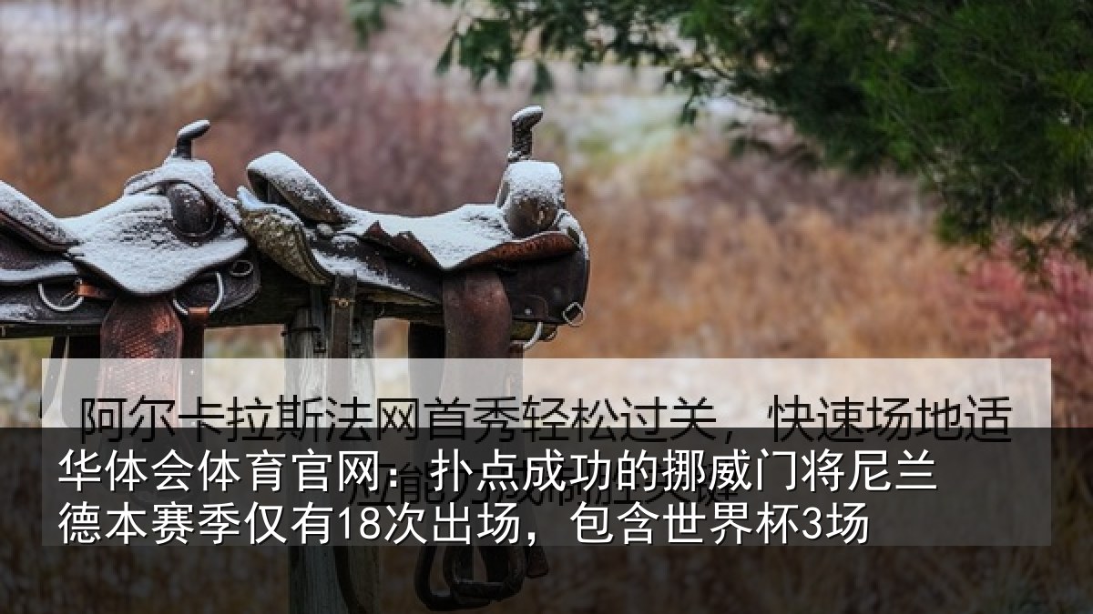 华体会体育官网：扑点成功的挪威门将尼兰德本赛季仅有18次出场，包含世界杯3场