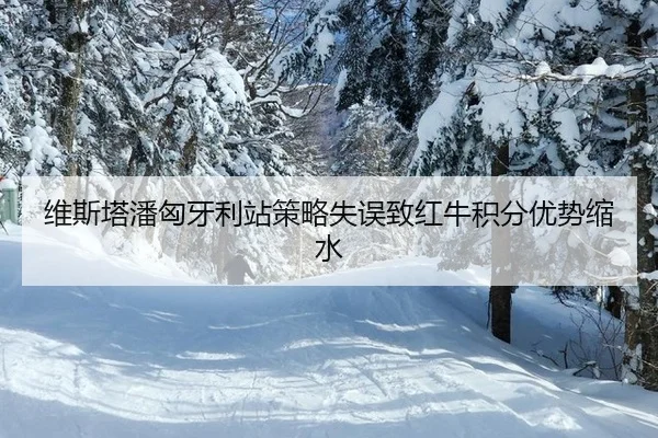 维斯塔潘匈牙利站策略失误致红牛积分优势缩水